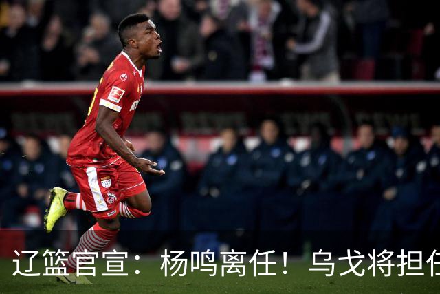 辽篮官宣：杨鸣离任！乌戈将担任辽宁男篮主帅